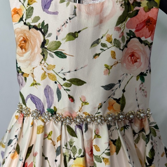 Tiny Couture Princess Dress - Picture 6 of 12